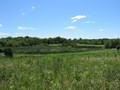 Cuba Marsh