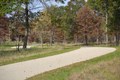 Pine Dunes