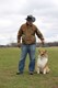Grassy_Lake_Lakewood_Dog_Exercise_Area_4.1.16_133