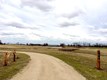 IMG_0061