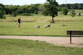 IMG_0413