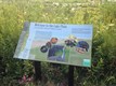 SpringBluff-Sign