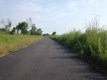 SpringBluff-trail