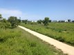 SpringBluff-trail1