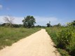 SpringBluff-trail2