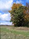WASA-20081021-002