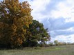 WASA-20081021-003