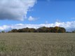 WASA-20081021-005