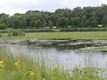 Wetland_LCFP