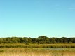 Wetlands_Project_2_LCFP