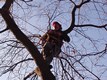 tree_work_153