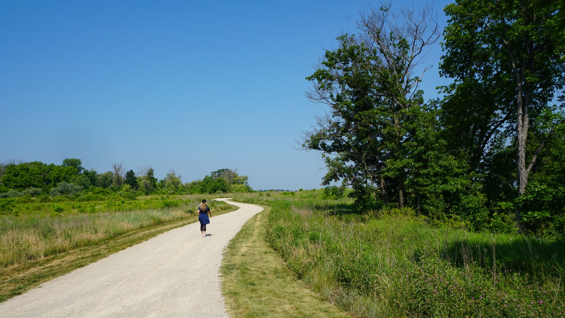 Ethel's Woods