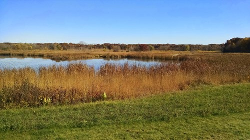 Waukegan_Savanna_