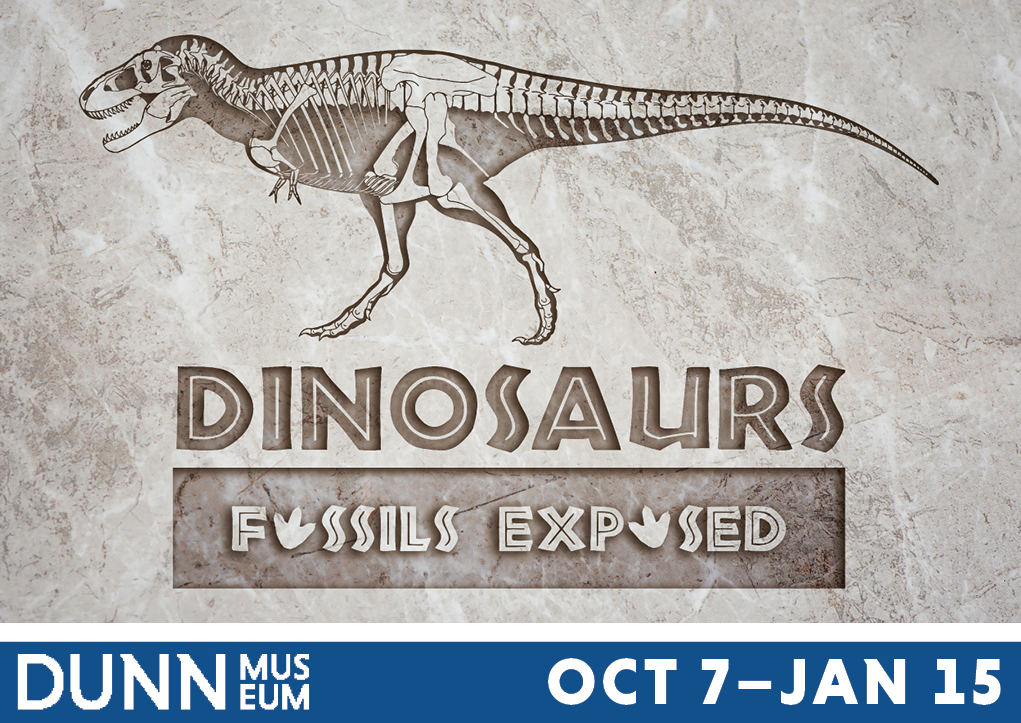 Dinosaurs_Fossils_Exposed5