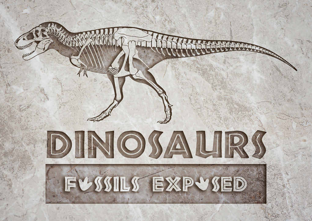 Dinosaurs_Fossils_Exposed6