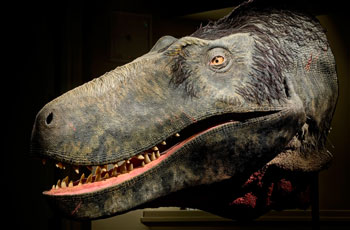 DisappearingDinosaur