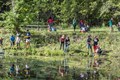 PondStudy-TimElliott-4