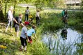 PondStudy-TimElliott-5
