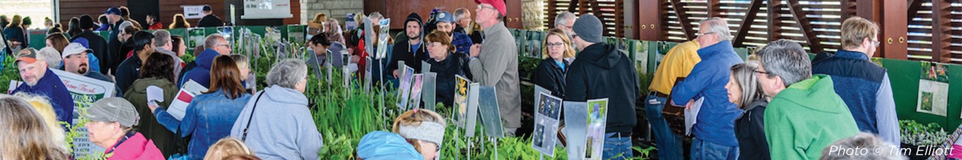 Guests browsing inventory at Native Plant Sale