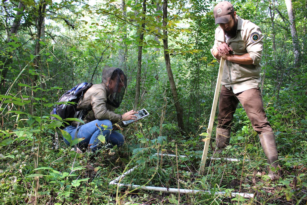 Plant_Monitoring-DMP-RCA-20190923-014