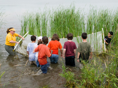 Scout Programs